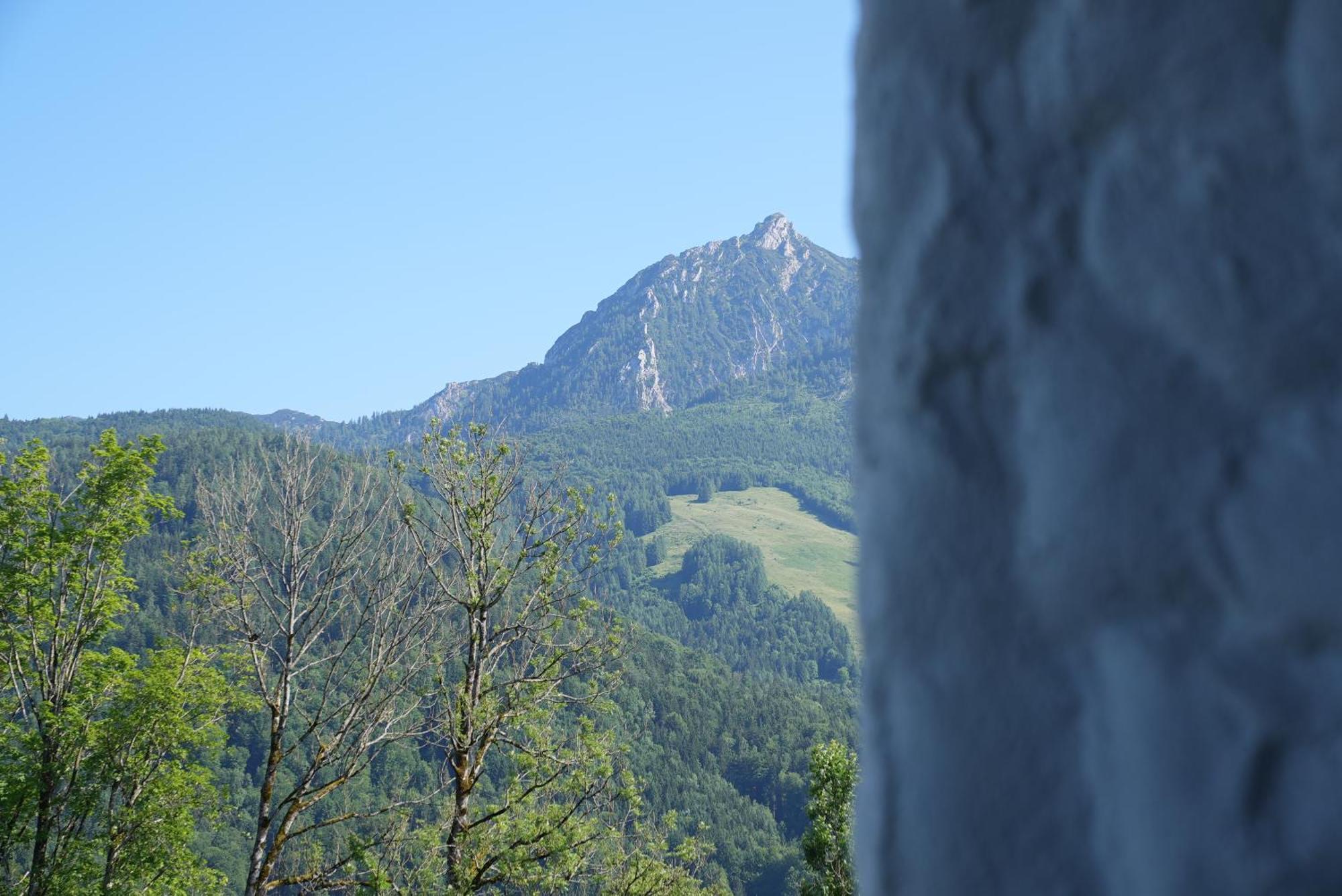 Bergblick 411 Am Wolfgangsee ストローブル 部屋 写真